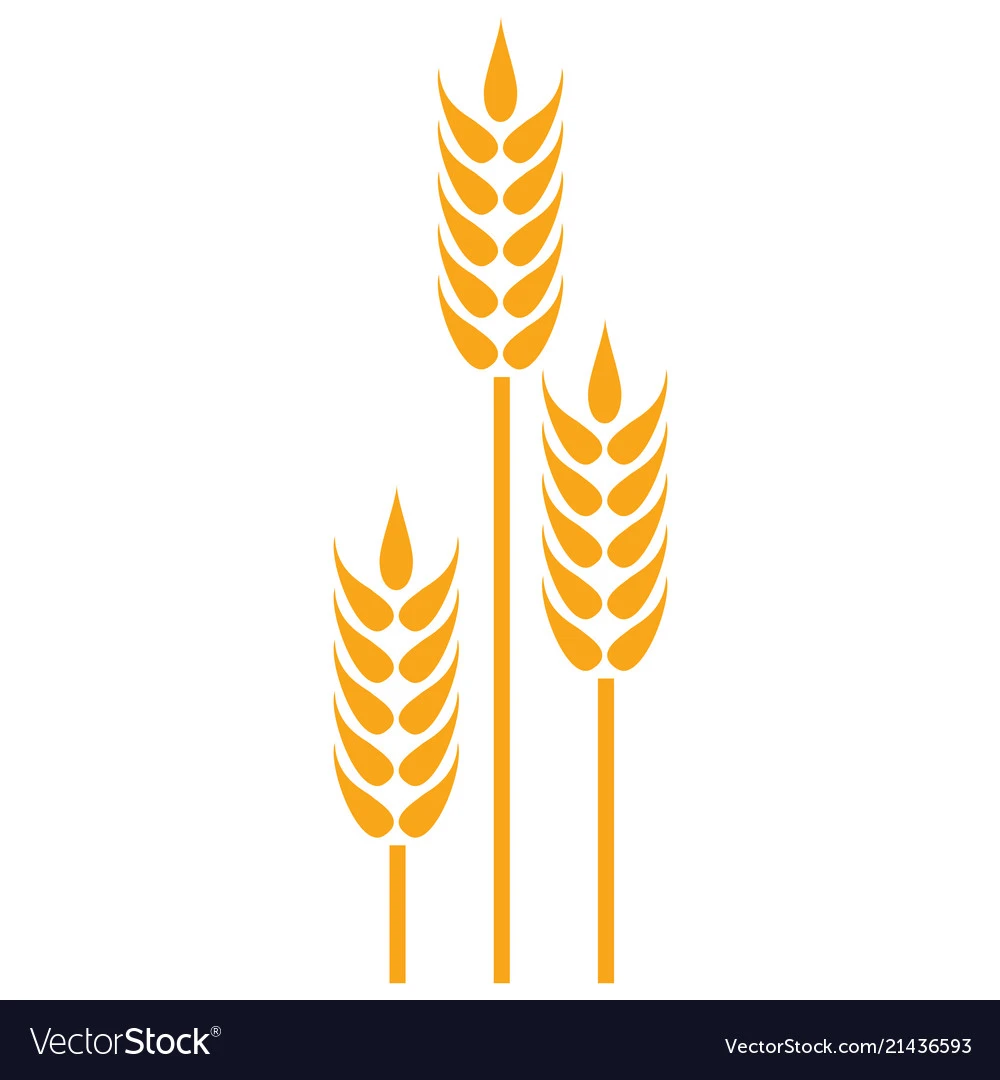 Wheat